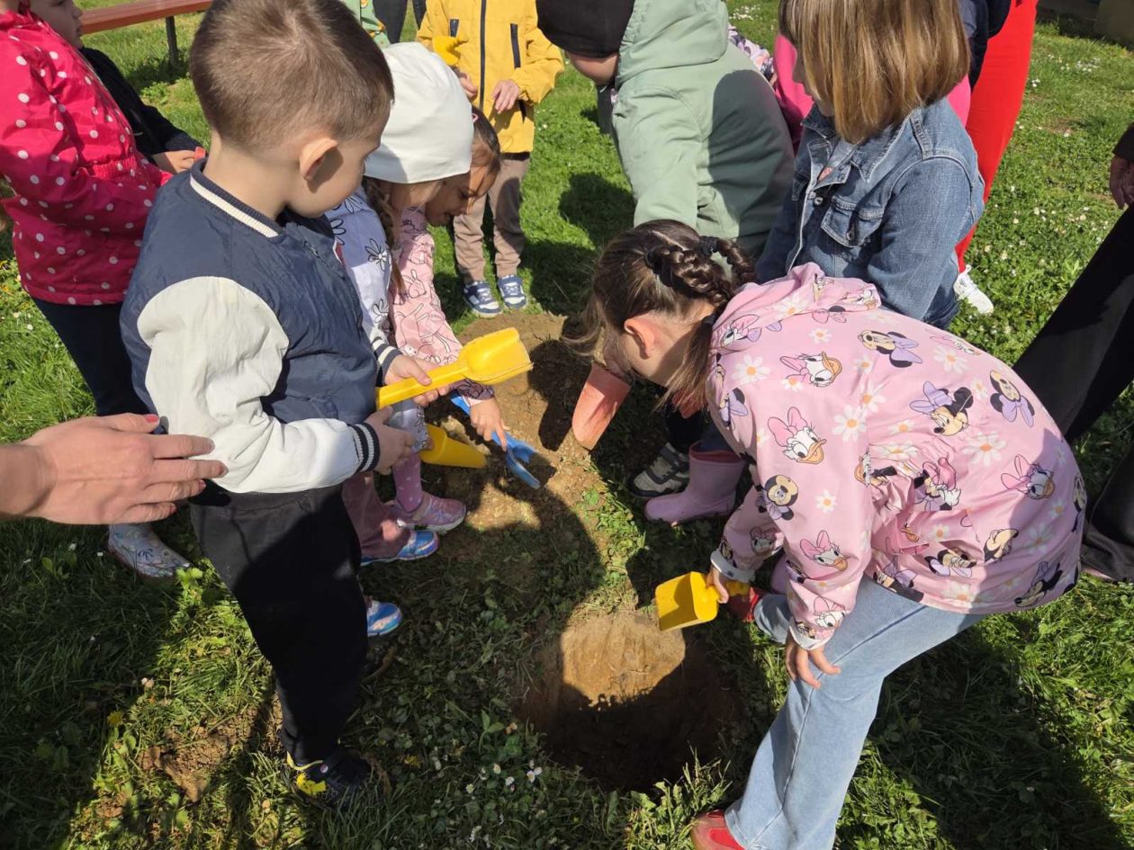 DV Mrav maslačak Mačkovec (6)