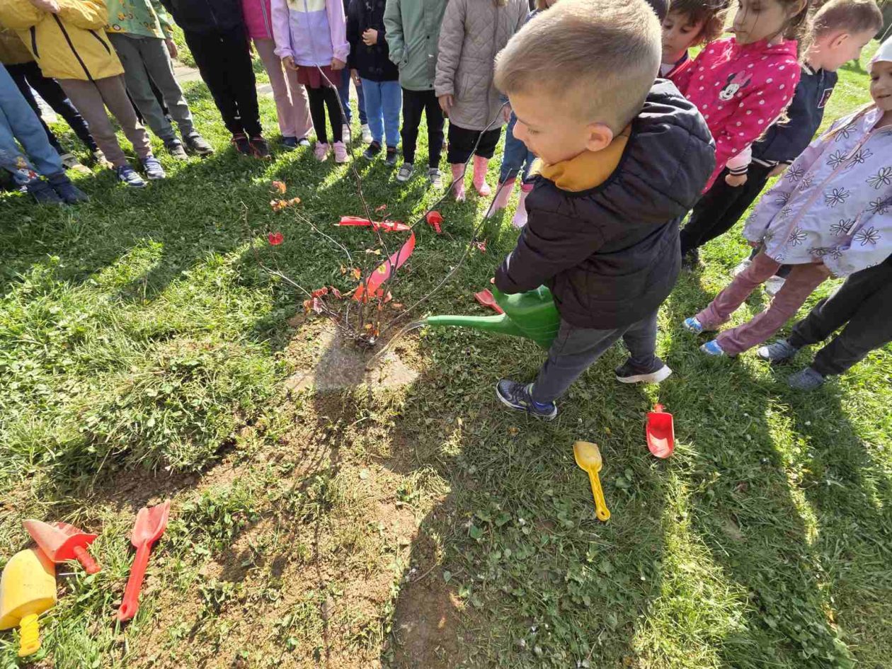 DV Mrav maslačak Mačkovec (7)