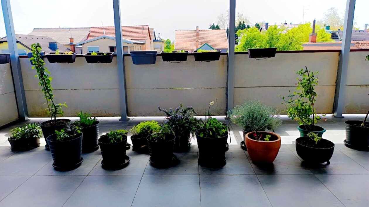 DV Mravići Dan planete Zemlja 2025 (3)