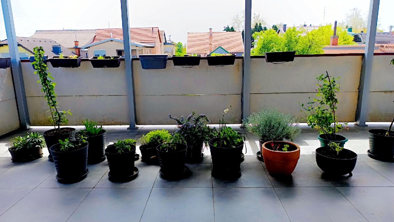 DV Mravići Dan planete Zemlja 2025 (3)