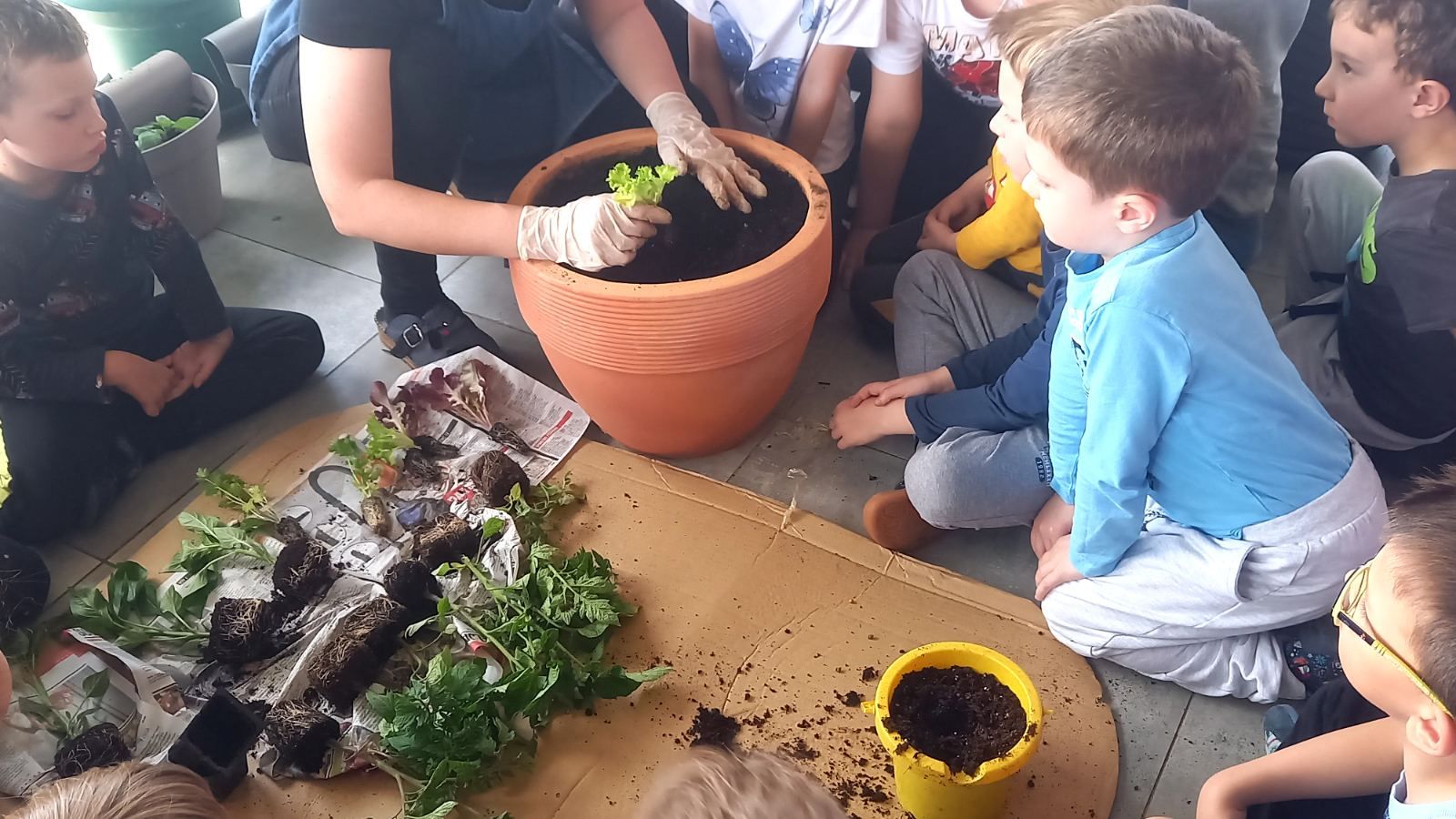 DV Mravići Dan planete Zemlja 2025 (9)