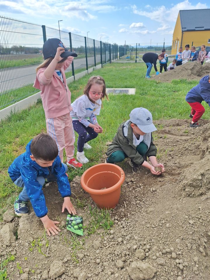 DV REHEKI Djeca kroz sadnju i čišćenje učila kako čuvati planet (2)