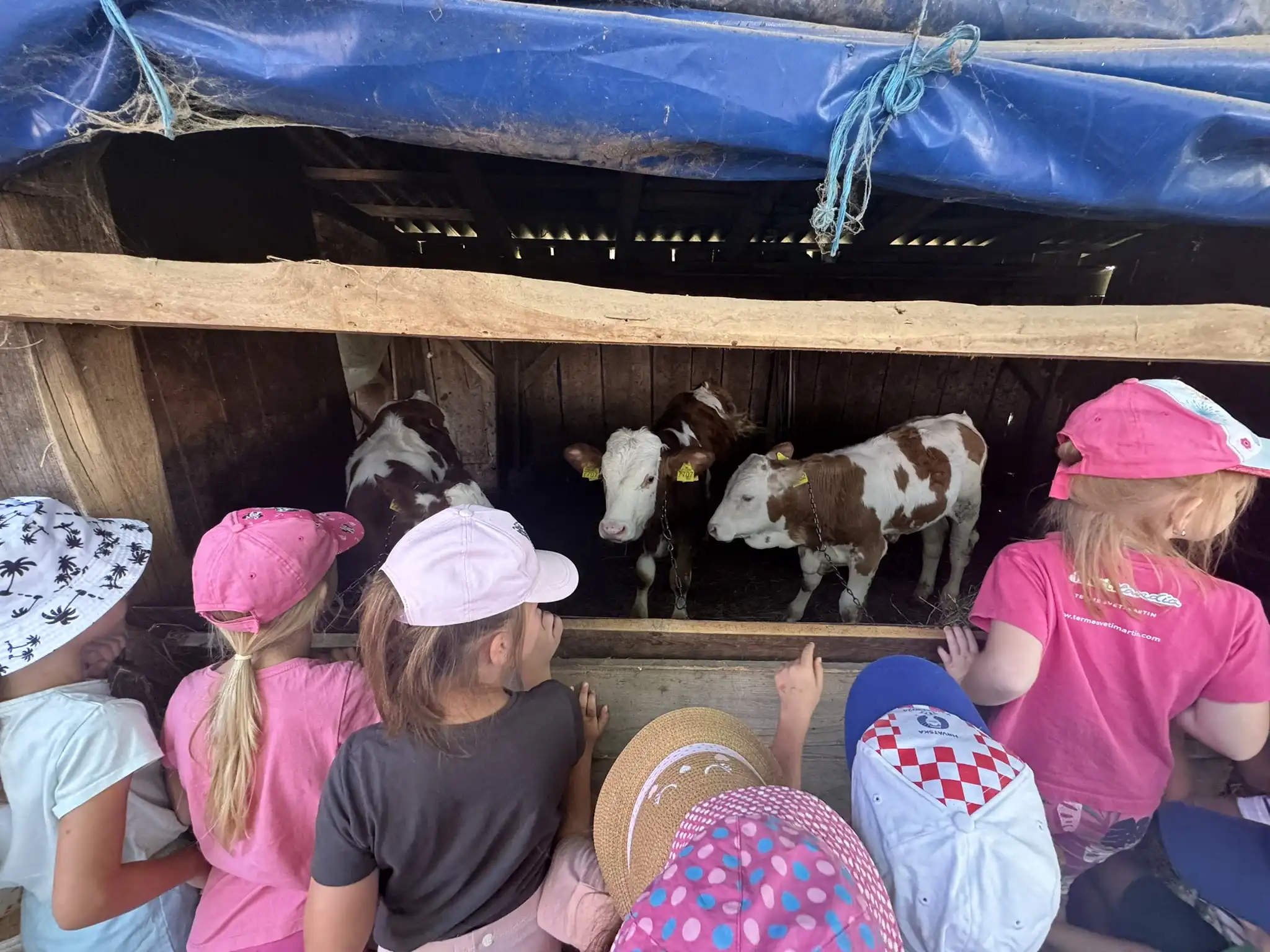 DV Ribica iz Žabnika – posjet farmi (3)