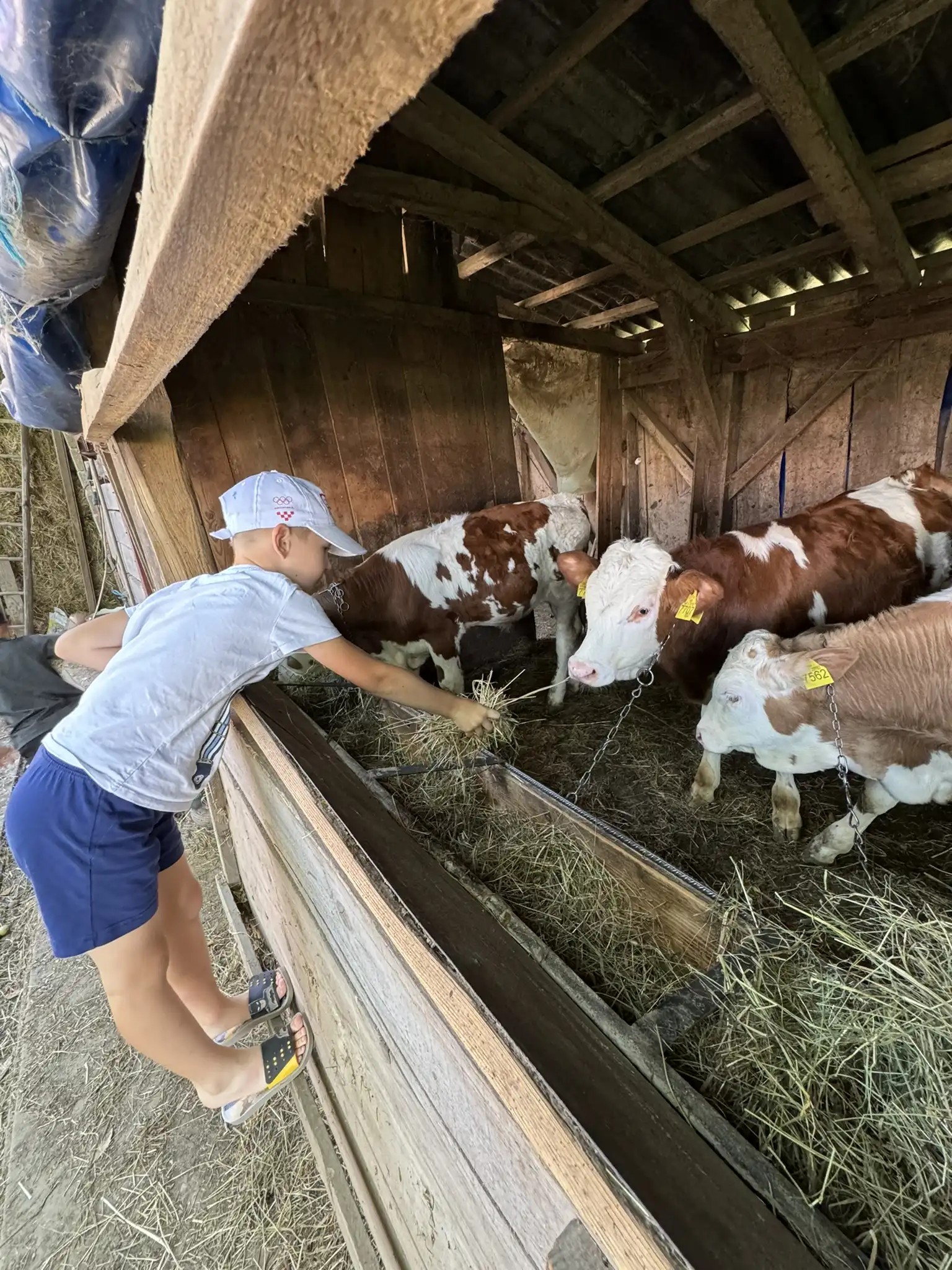 DV Ribica iz Žabnika – posjet farmi (4)