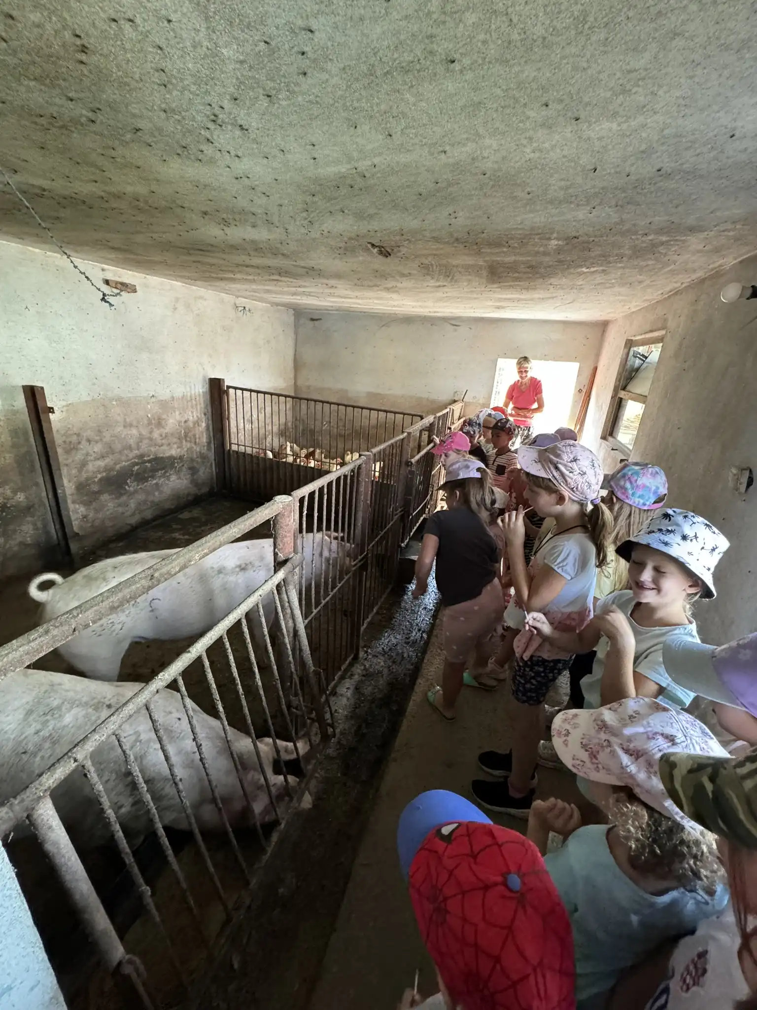 DV Ribica iz Žabnika – posjet farmi (7)