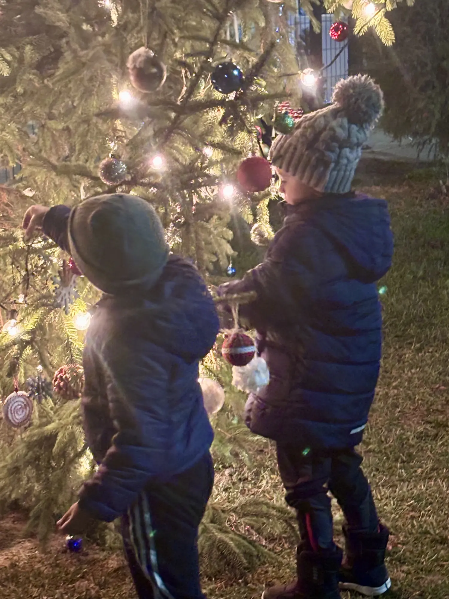 DV Vesela loptica_druga božićna idila na preloškom jugu (5) DV Vesela loptica_druga božićna idila na preloškom jugu (5)