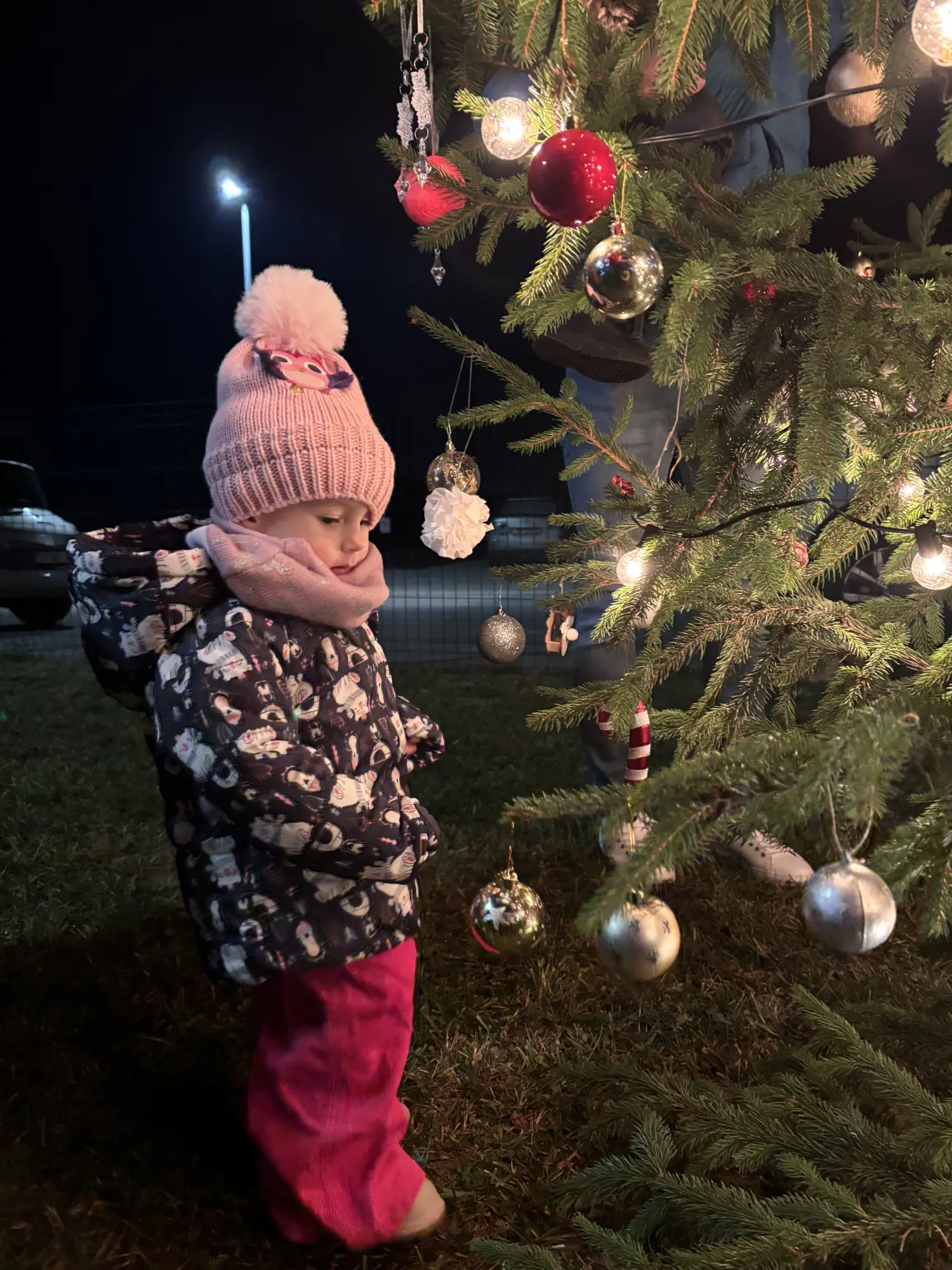 DV Vesela loptica_druga božićna idila na preloškom jugu (9) DV Vesela loptica_druga božićna idila na preloškom jugu (9)