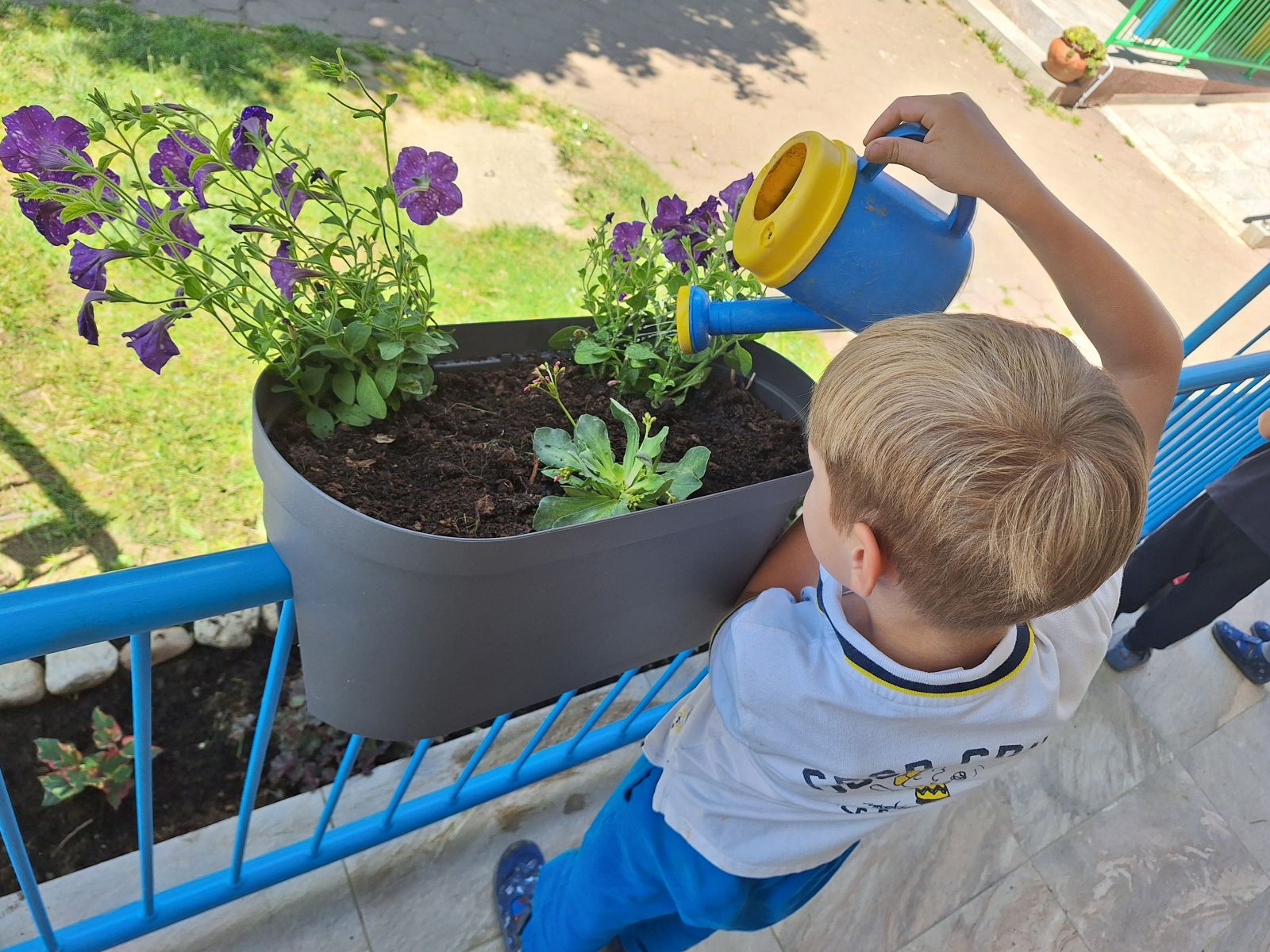 DV Vrapčić Šenkovec 1 DV Vrapčić Šenkovec 1