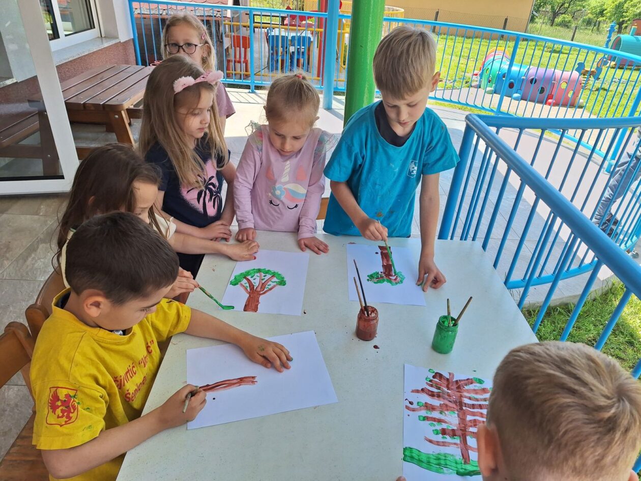 DV Vrapčić Šenkovec 10