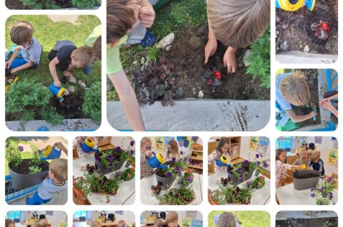 DV Vrapčić Šenkovec 16