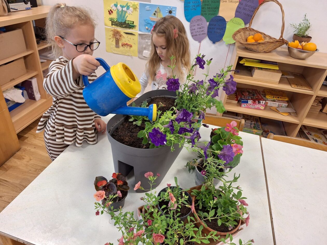 DV Vrapčić Šenkovec 20