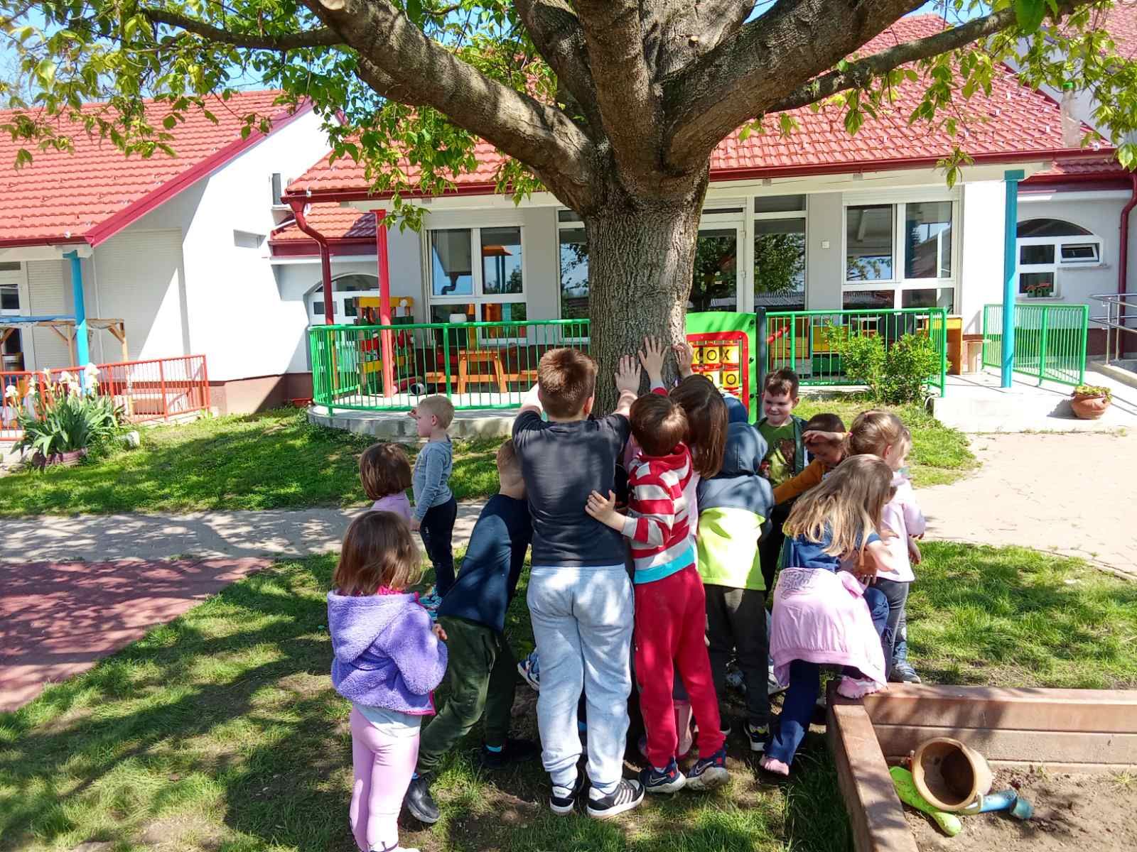 DV Vrapčić Šenkovec 7 DV Vrapčić Šenkovec 7