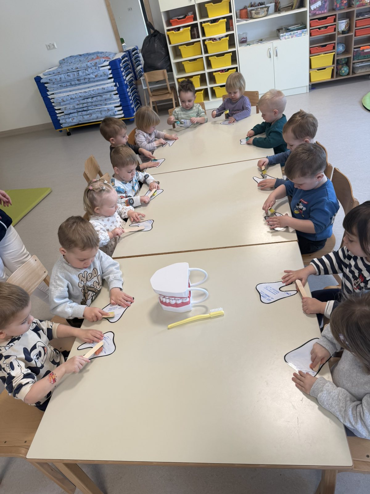 DV Zvončić oralno zdravlje (6)