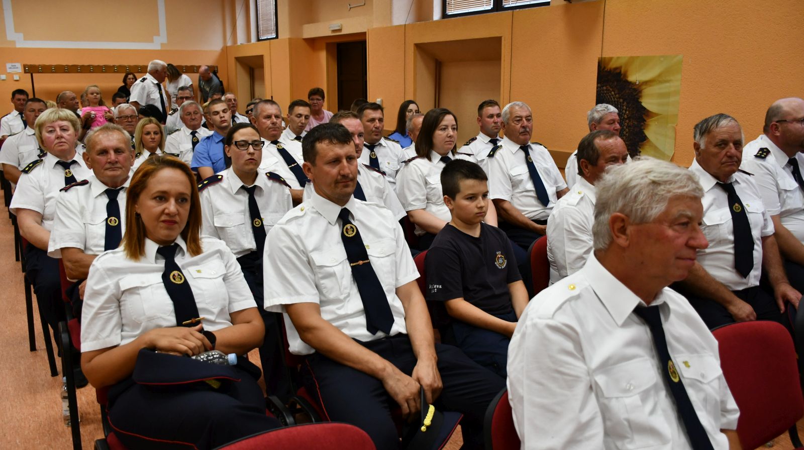 DVD Belica 100 godina (140)