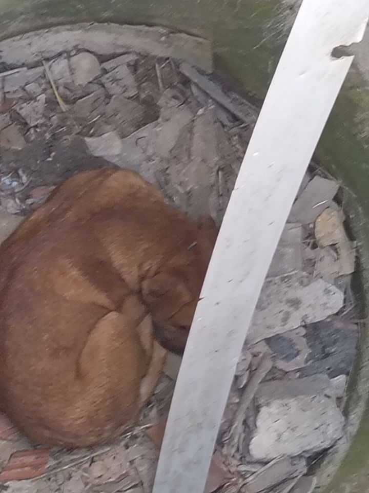 DVD Kuršanec (3) DVD Kuršanec (3)