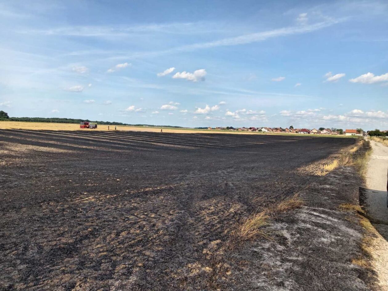 DVD Kuršanec (6) DVD Kuršanec (6)