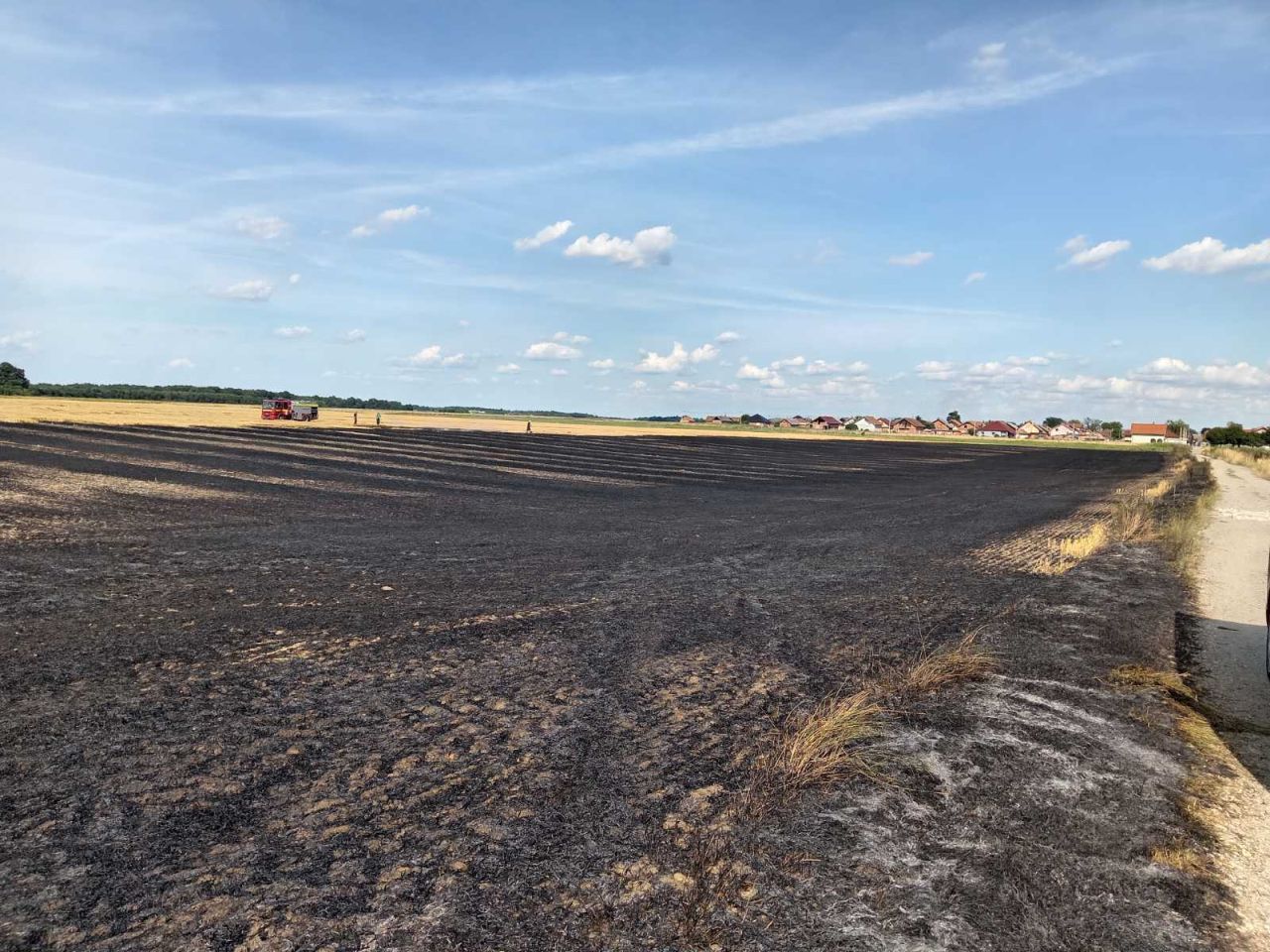 DVD Kuršanec (6) DVD Kuršanec (6)