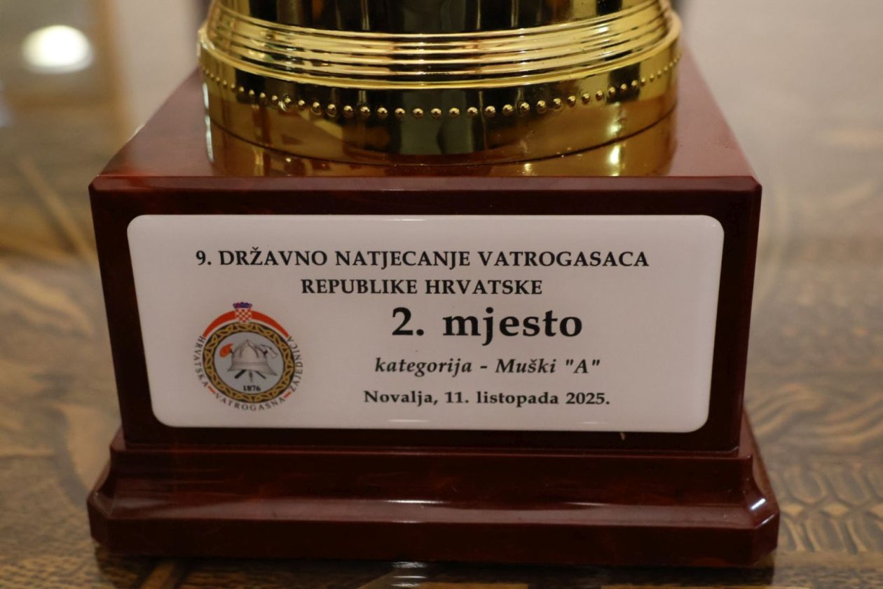 DVD Palinovec 2025 10