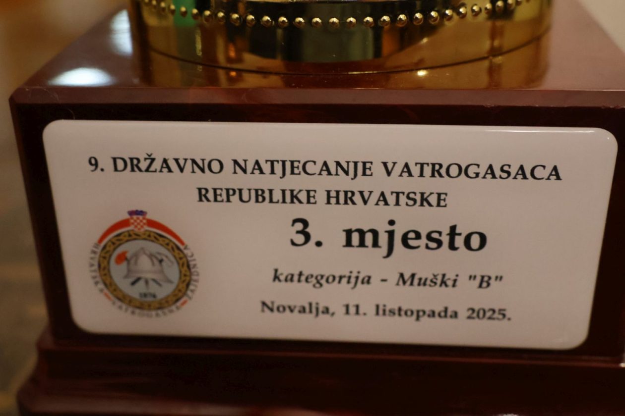 DVD Palinovec 2025 12