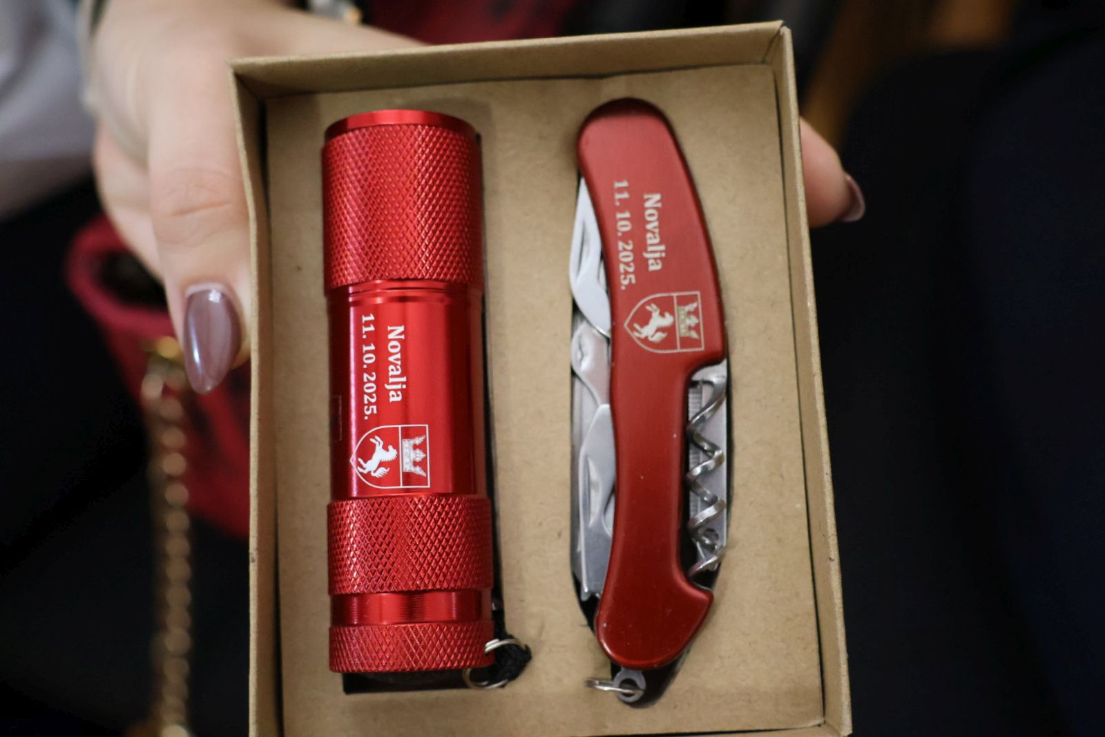 DVD Palinovec 2025 38 DVD Palinovec 2025 38