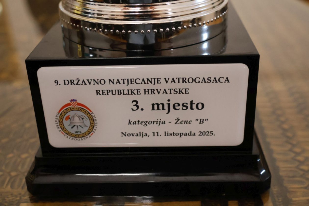 DVD Palinovec 2025 9