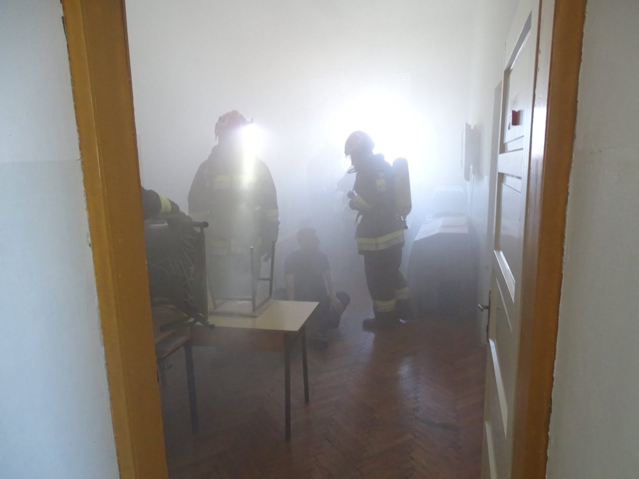 DVD Palinovec (4)