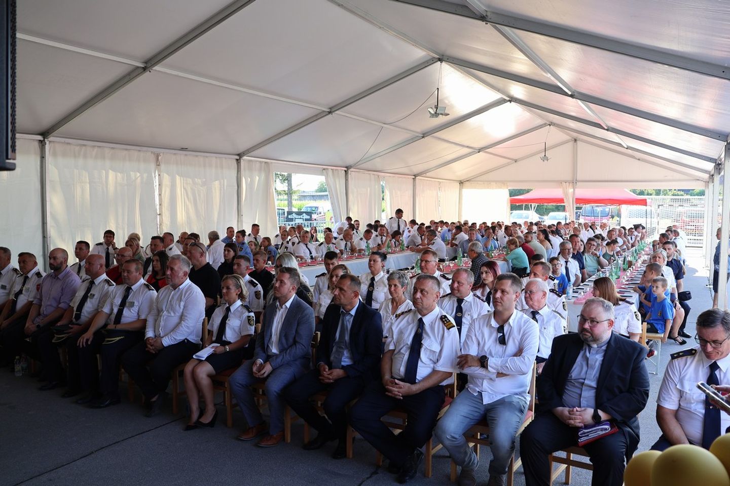 DVD Podturen 100 godina (15) DVD Podturen 100 godina (15)