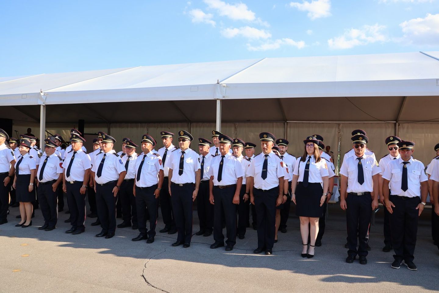 DVD Podturen 100 godina (8) DVD Podturen 100 godina (8)