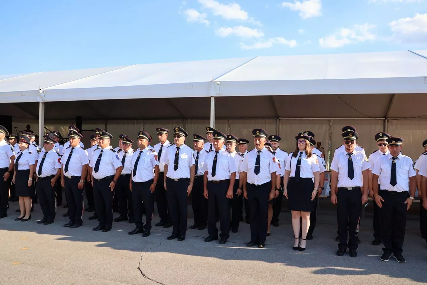 DVD Podturen, 100 godina (8) DVD Podturen, 100 godina (8)