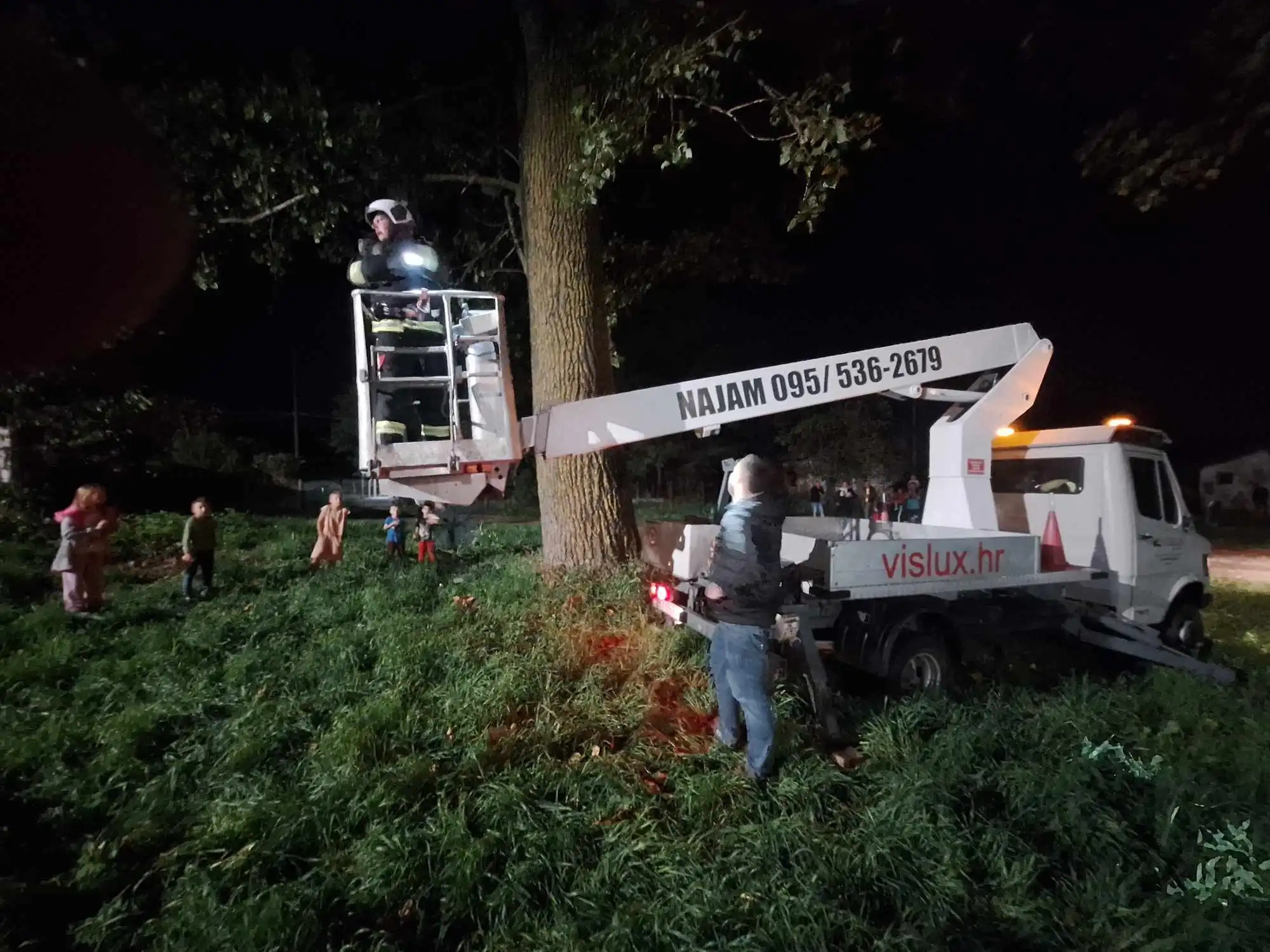 DVD Pribislavec – mačić (5)