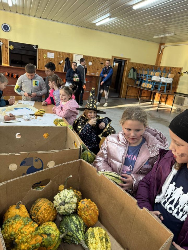 DVD STRAHONINEC HALLOWEEN 5