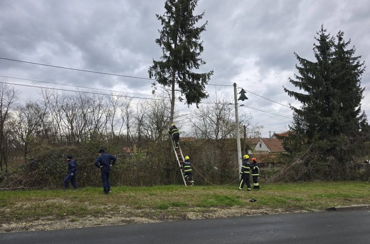 DVD Selnica (3) DVD Selnica (3)