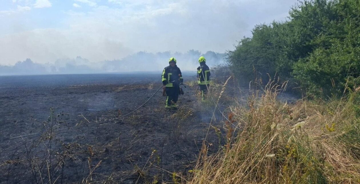 DVD Strahoninec požar Pribislavec (1)