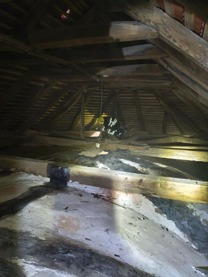 DVD Strahoninec spašavanje mačke (1) DVD Strahoninec spašavanje mačke (1)