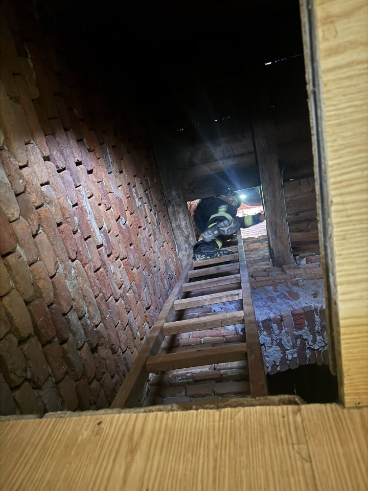 DVD Strahoninec spašavanje mačke (2) DVD Strahoninec spašavanje mačke (2)