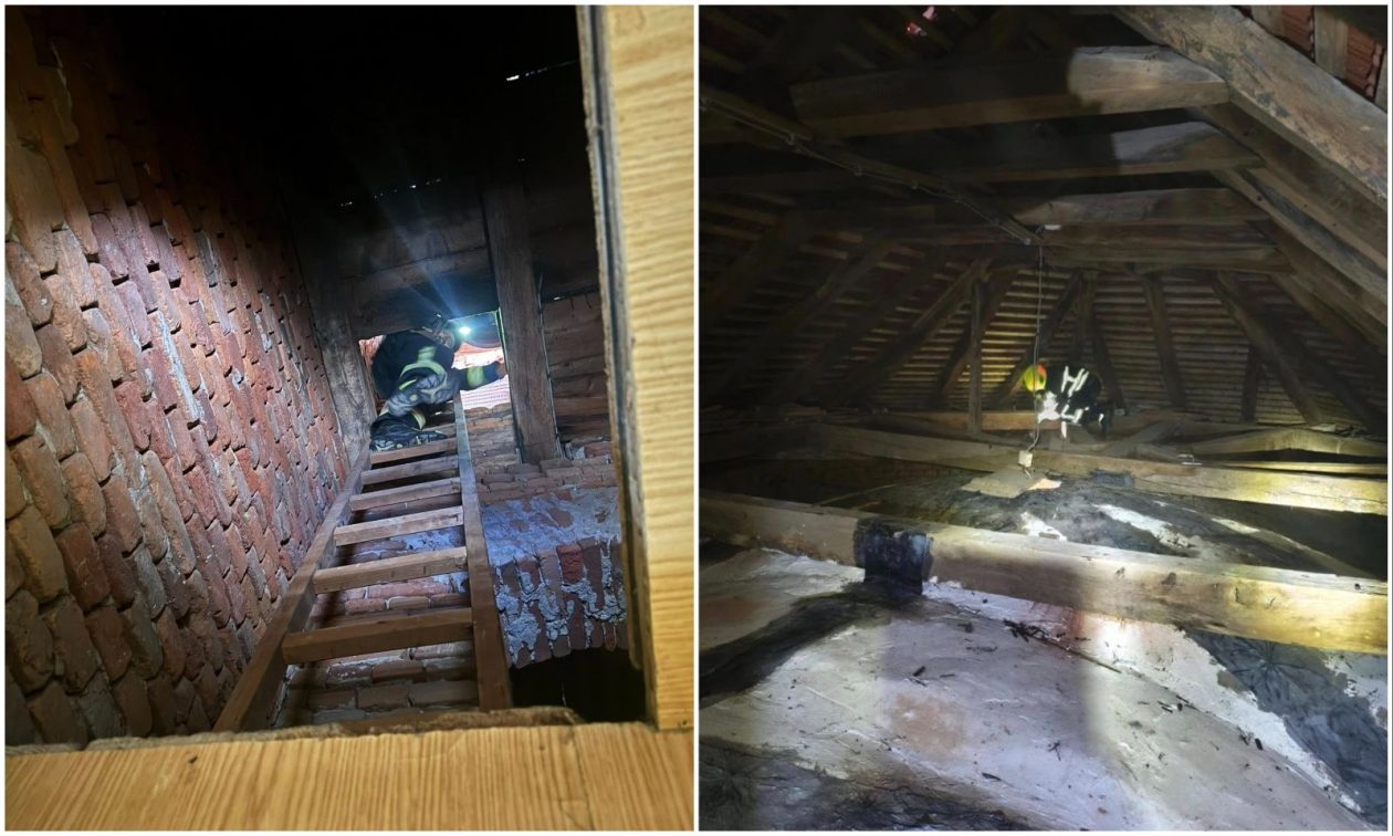 DVD Strahoninec spašavanje mačke (5) DVD Strahoninec spašavanje mačke (5)