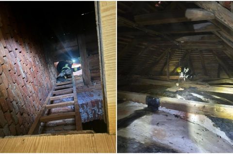 DVD Strahoninec spašavanje mačke (5)