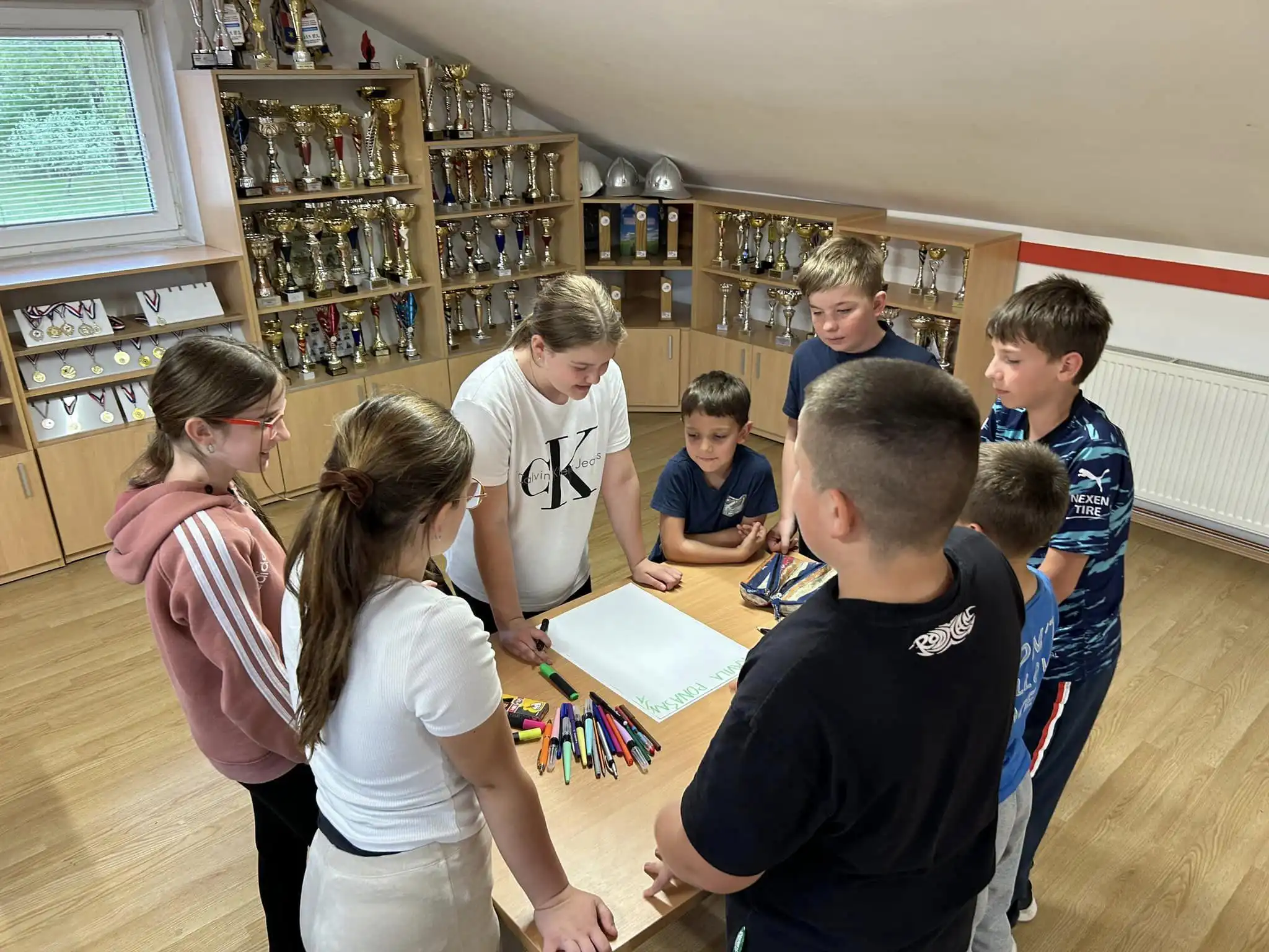 DVD Vratišinec, pomladak (6)