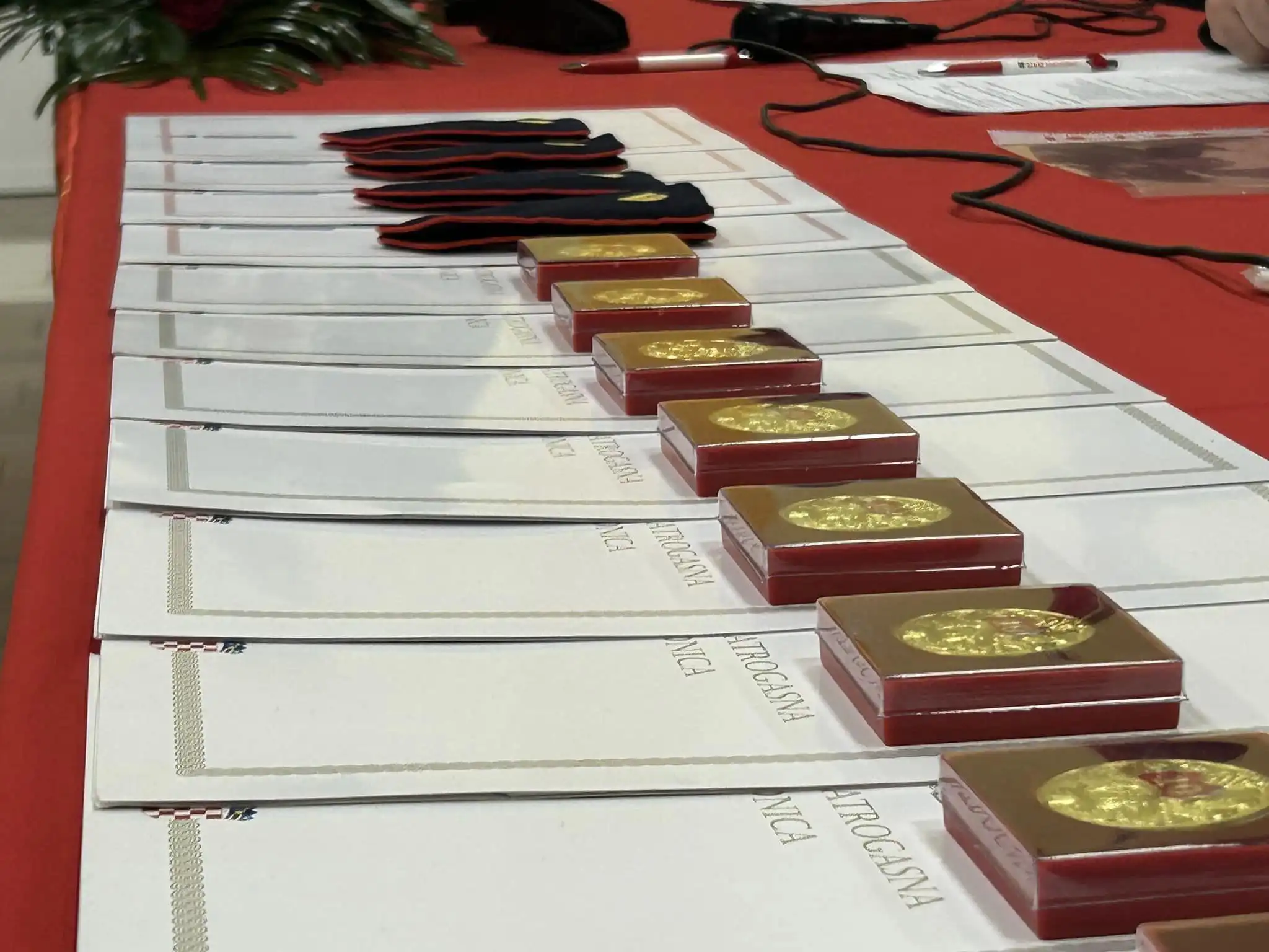 DVD Vratišinec, skupština (11) DVD Vratišinec, skupština (11)