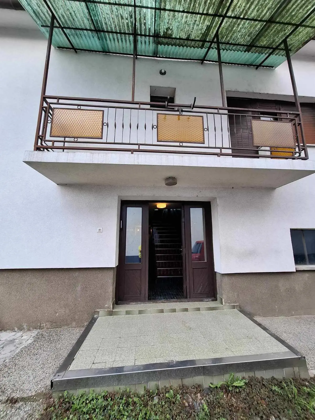 Damira Marušić Udruga o napuštenim mačkama (4)