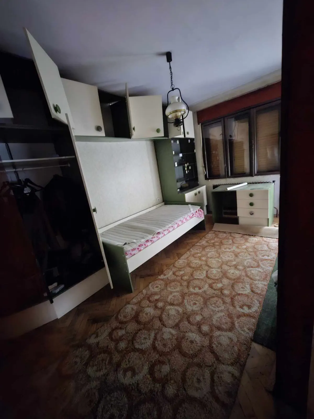 Damira Marušić Udruga o napuštenim mačkama (5)