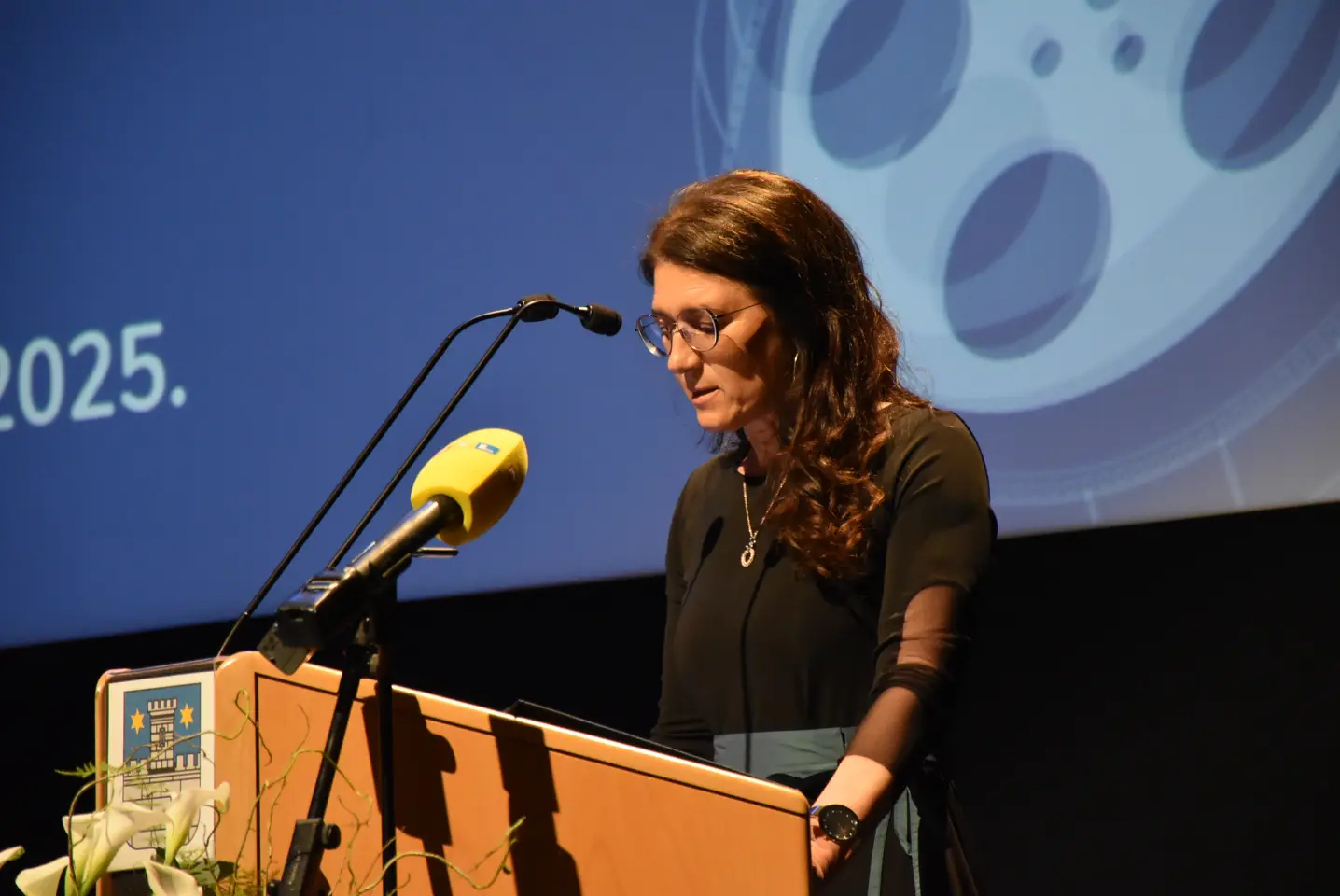 Dan Grada Čakovca, svečana sjednica, 2025 (15)