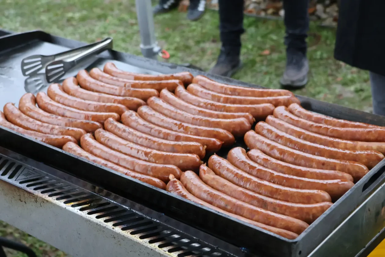 Dan Grada Preloga, kobasice, gemišt, Ljubomir Kolarek, 2025 (1)