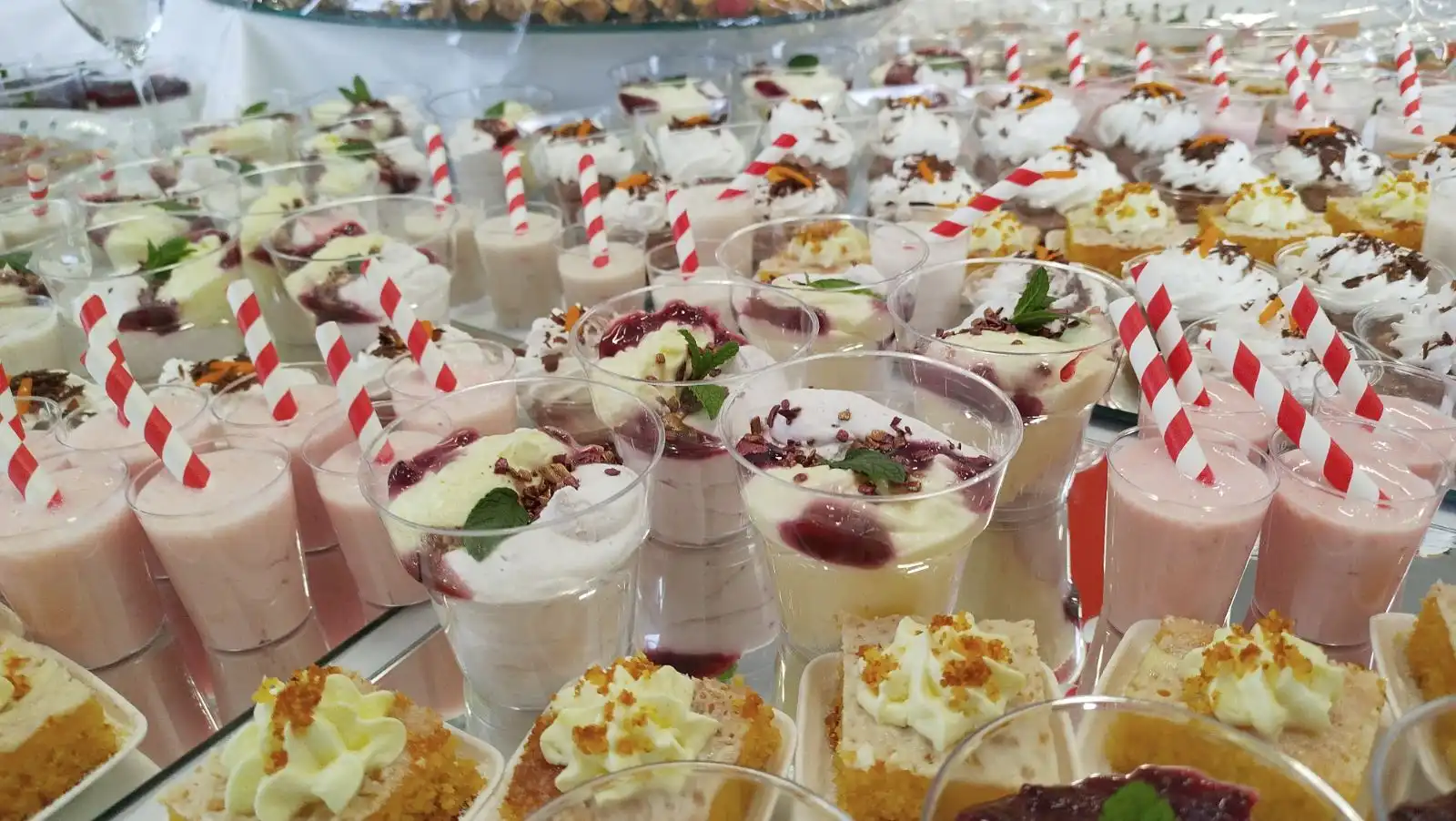 Dan Općine Selnica,svečana sjednica općinskog vijeća (22)