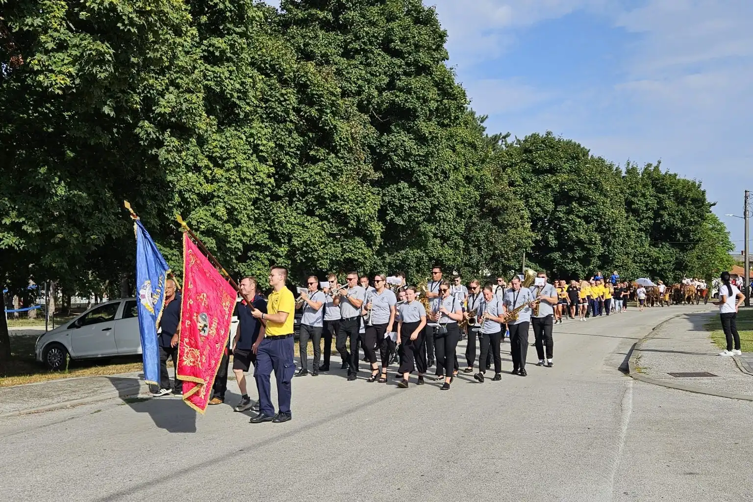 Dan Savske Vesi (8)