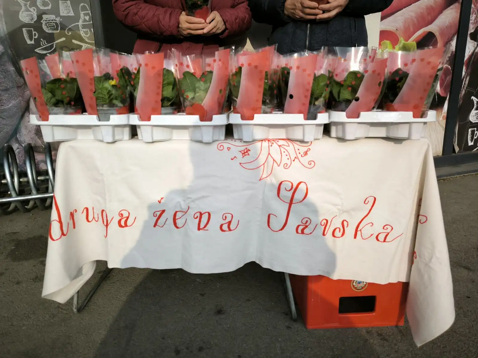 Dan Žena, Savska Ves, Udruga žena (1)