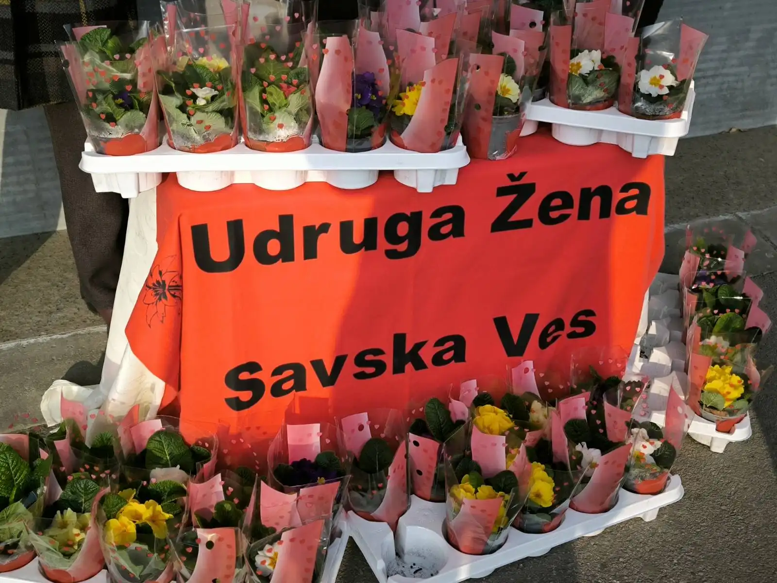 Dan Žena, Savska Ves, Udruga žena (12)