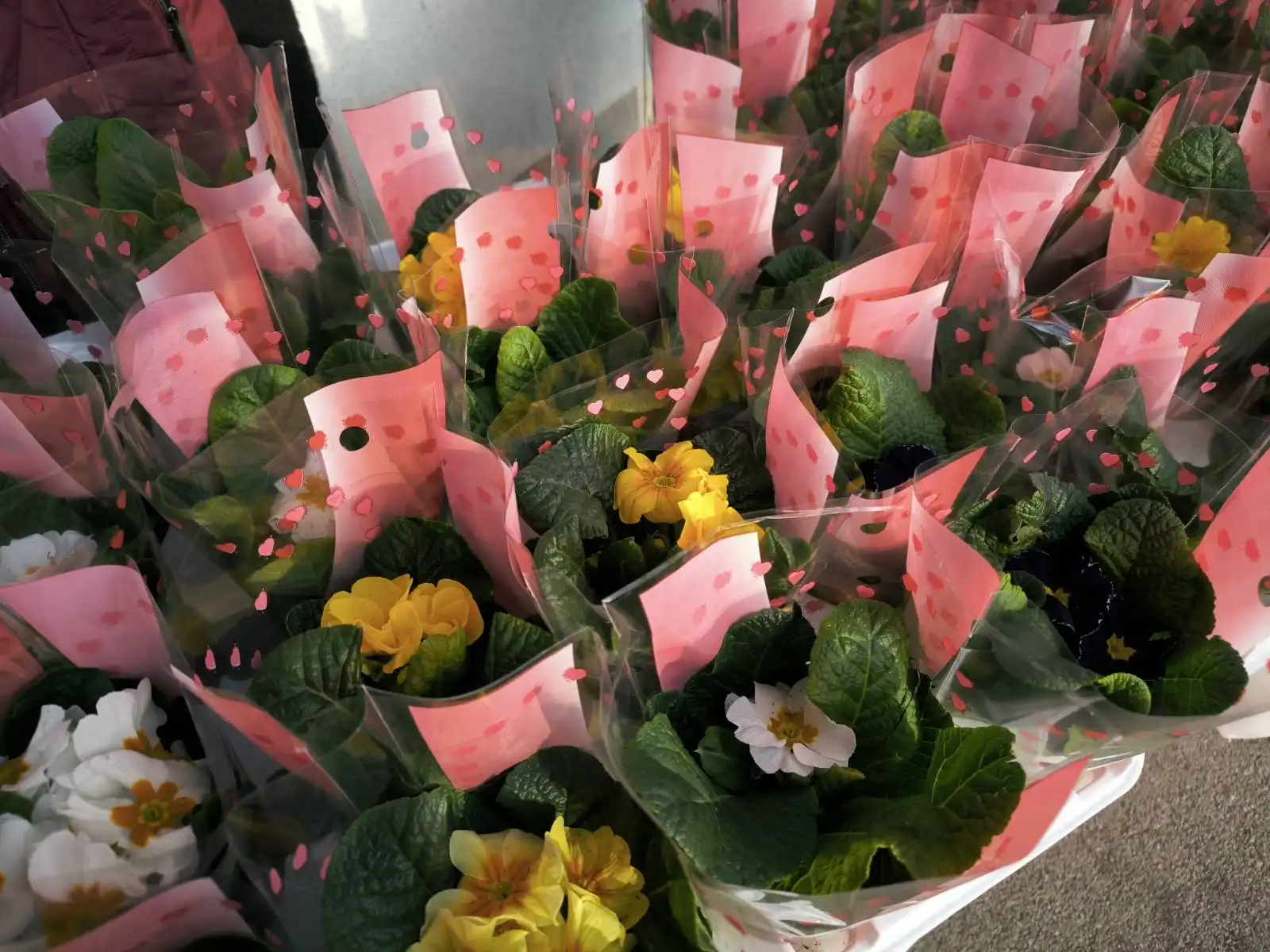 Dan Žena, Savska Ves, Udruga žena (3)