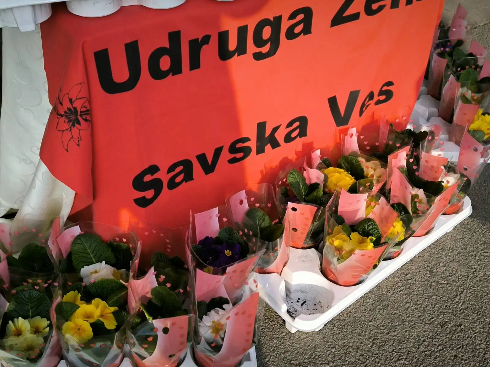 Dan Žena, Savska Ves, Udruga žena (6)