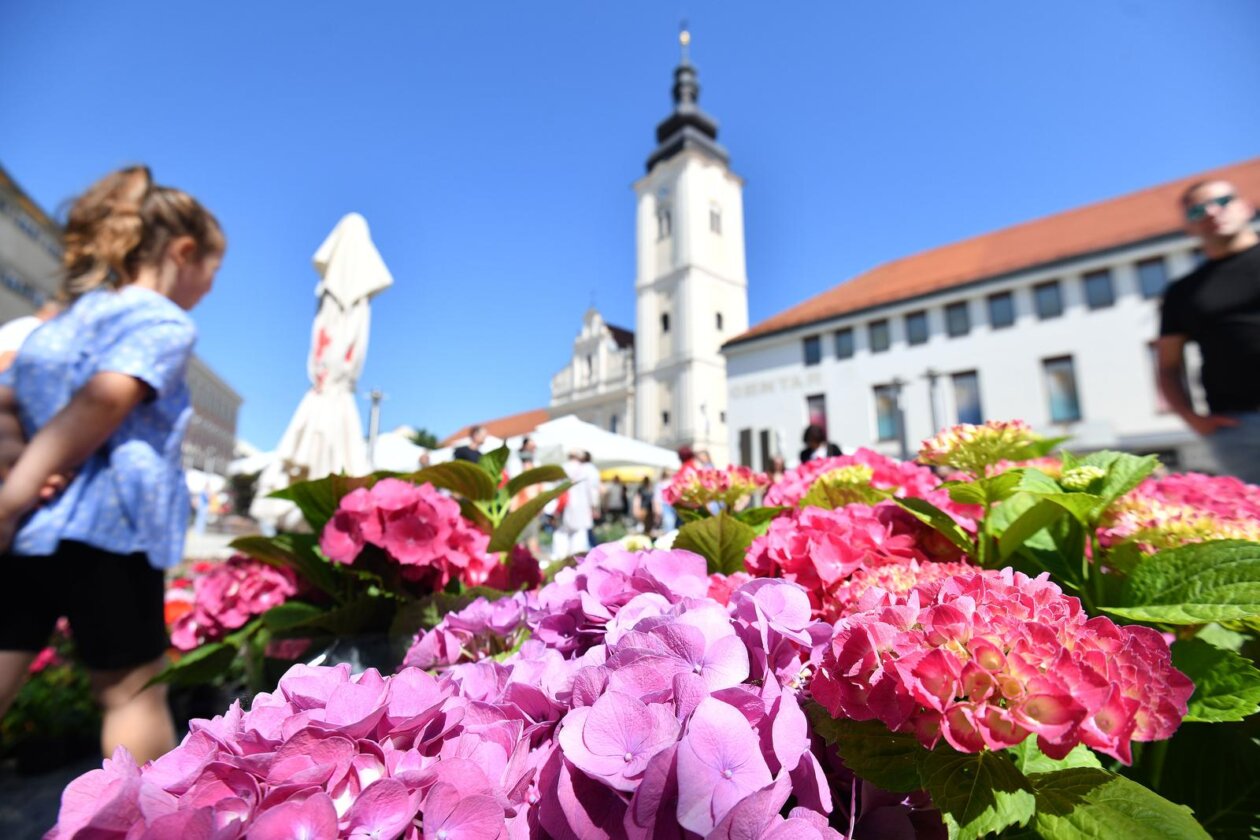 Čakovec: Atmosfera na proljetnom sajmu u centru grada